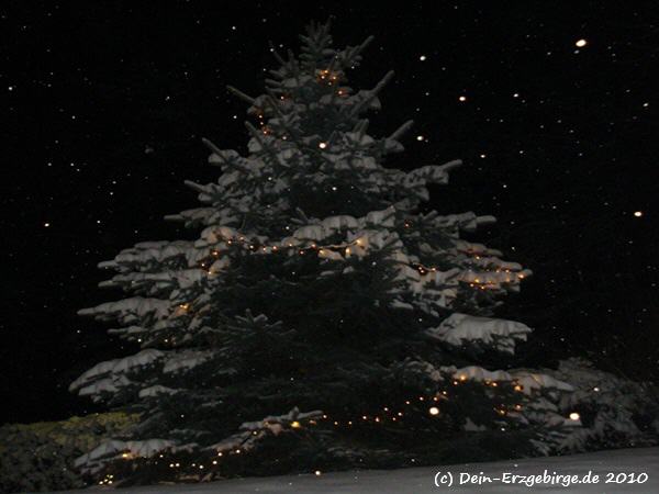 Christbaum Tannenbaum Weihnachtsbaum im Erzgebirge