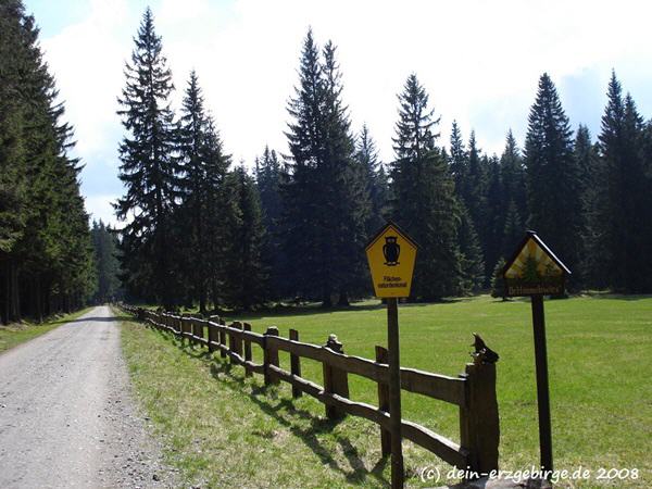Auf dem Kammweg Erzgebirge-Vogtland ...