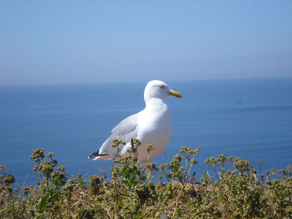 An der Nordsee