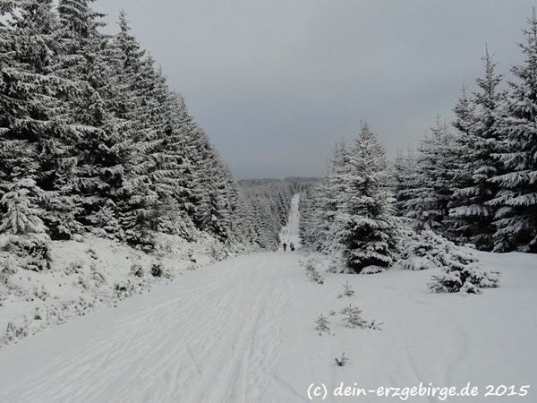 Auf der Skimagistrale Erzgebirge/Kruné hory ...