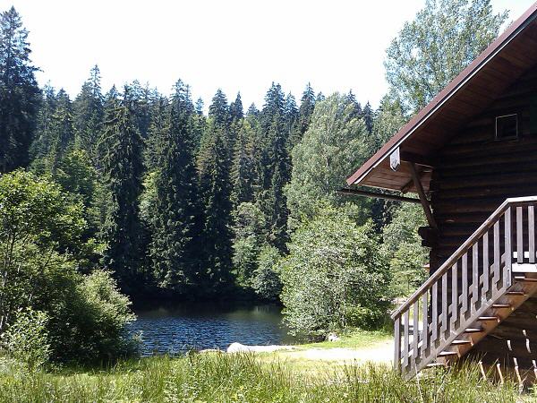 Bayerischer Wald